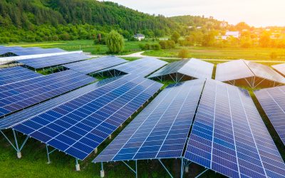 Solar PPA vs Solar Lease vs Outright Solar Purchase in the Philippines (What’s Best for Your Business?)